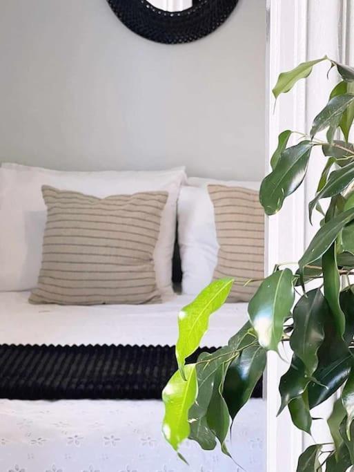 Ammoudara Apartment'S Kálymnos 外观 照片